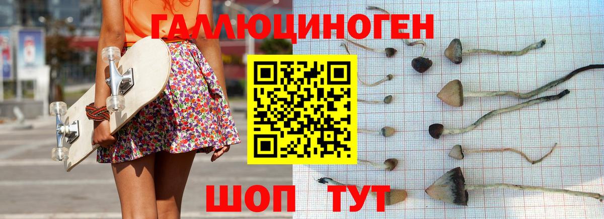 Псилоцибиновые грибы MAGIC MUSHROOMS Истра